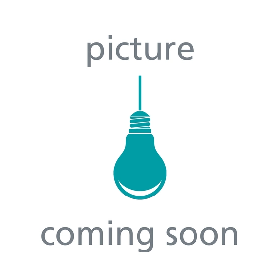 Eglo Bulb lightbulb E27 110011, изображение 4