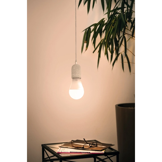 Eglo Bulb lightbulb E27 12253, зображення 7