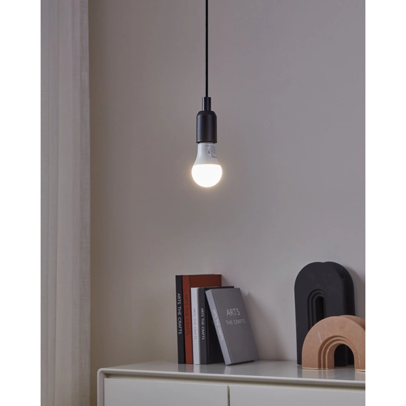 Eglo Bulb lightbulb E27 12253, зображення 2