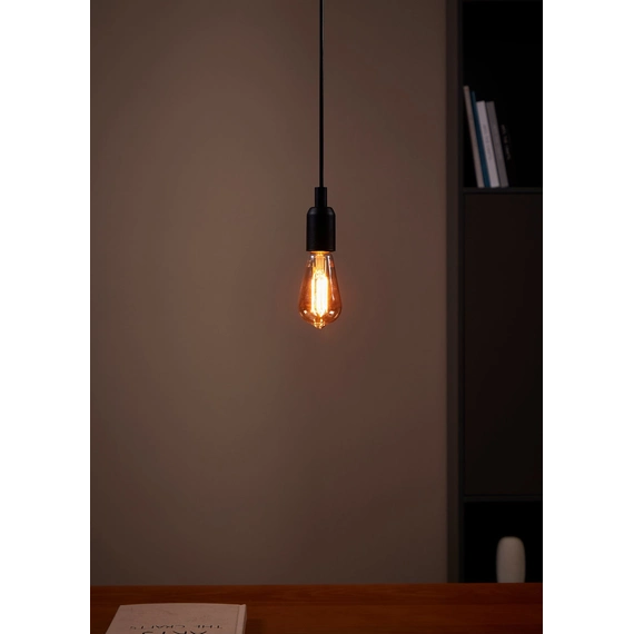 Eglo Bulb lightbulb E27 110067, изображение 2