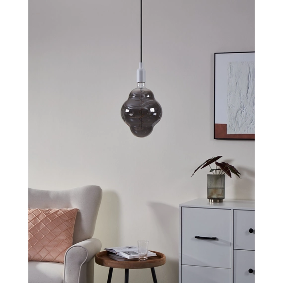 Eglo Bulb lightbulb E27 110255, зображення 4