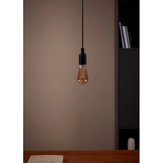 Eglo Bulb lightbulb E27 110077, зображення 5