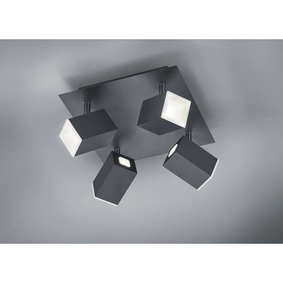 Світильник TRIO 827830432 LAGOS