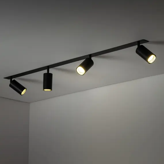 Світильник-спот TK-Lighting AMIS 10809, зображення 3