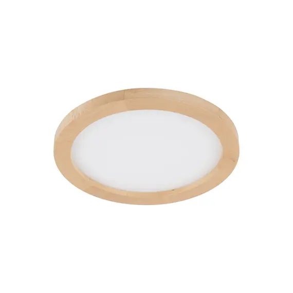 Стельовий світильник TK-Lighting AQUA WOOD BUK 325 24W LED 18004, изображение 6