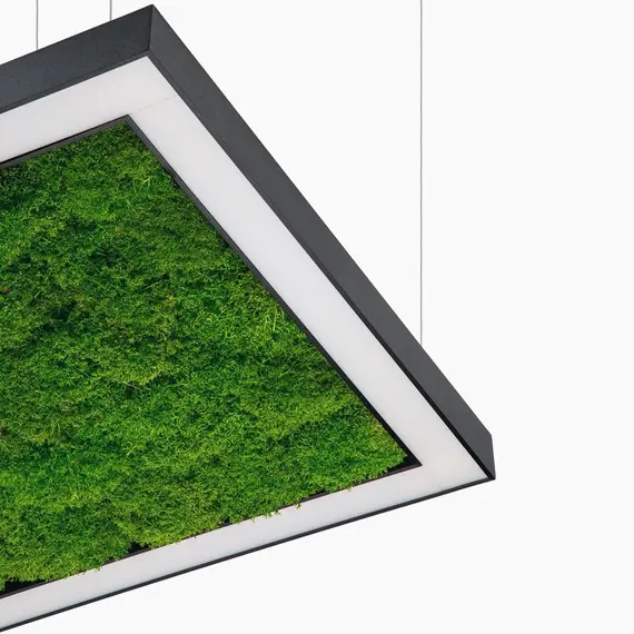 Люстра Imperium Light ANDER WITH FLAT MOSS 58515001.05.70.91, изображение 6