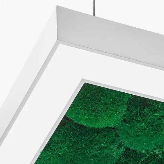 Люстра Imperium Light ANDER WITH BUN MOSS 58515002.01.72.91, зображення 8