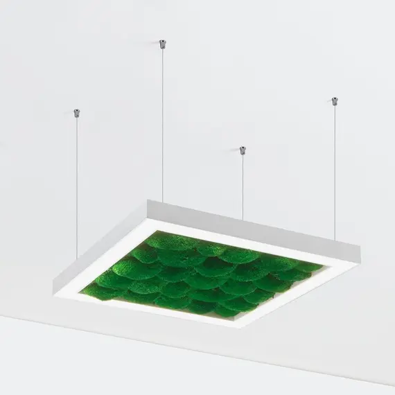 Люстра Imperium Light ANDER WITH BUN MOSS 58515002.01.72.92, зображення 3