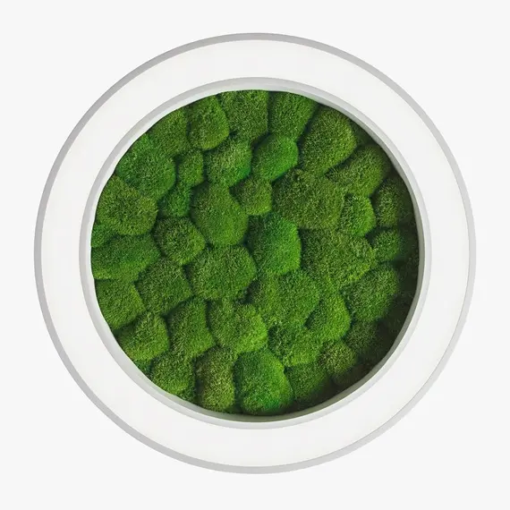 Люстра Imperium Light WHEEL WITH BUN MOSS 62716002.01.70.91, зображення 4