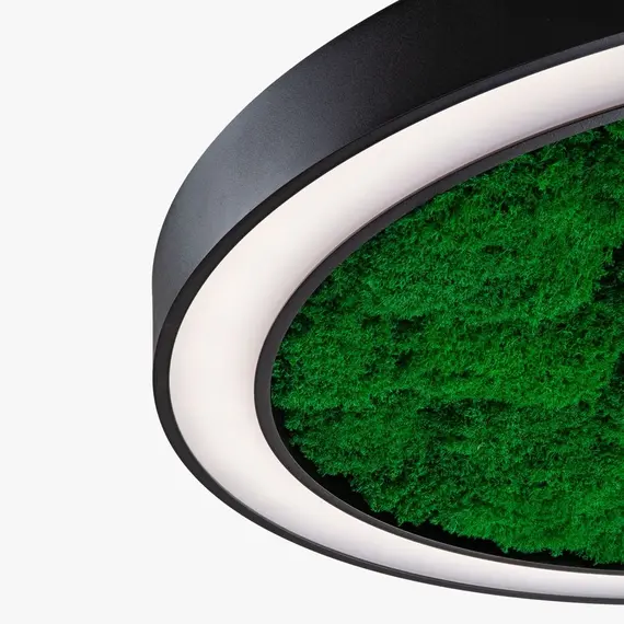 Люстра Imperium Light WHEEL WITH FLAT MOSS 62718001.05.72.93, зображення 5