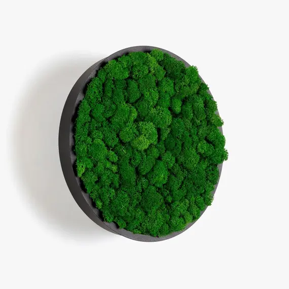 Бра Imperium Light JACE REINDEER MOSS 78612503.05.70.91, зображення 5