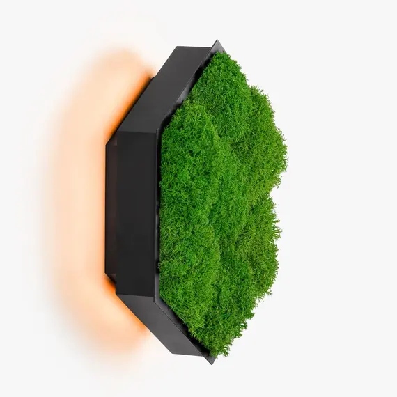 Бра Imperium Light FELIZELI FLAT MOSS 78712501.05.70.91, зображення 6