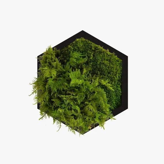 Бра Imperium Light FELIZELI FERN 79111903.05.70.92, зображення 3