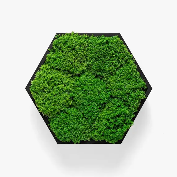 Бра Imperium Light FELIZELI FLAT MOSS 78713001.05.70.91, зображення 3