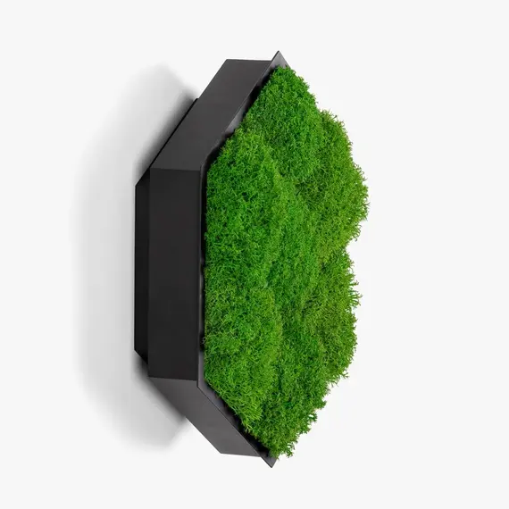 Бра Imperium Light FELIZELI FLAT MOSS 78713001.05.70.92, изображение 7