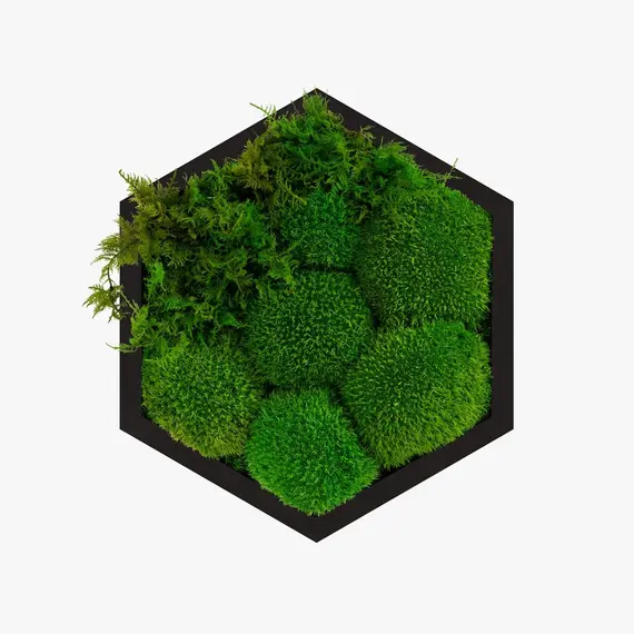 Бра Imperium Light FELIZELI FERN 79112402.05.71.91, зображення 3