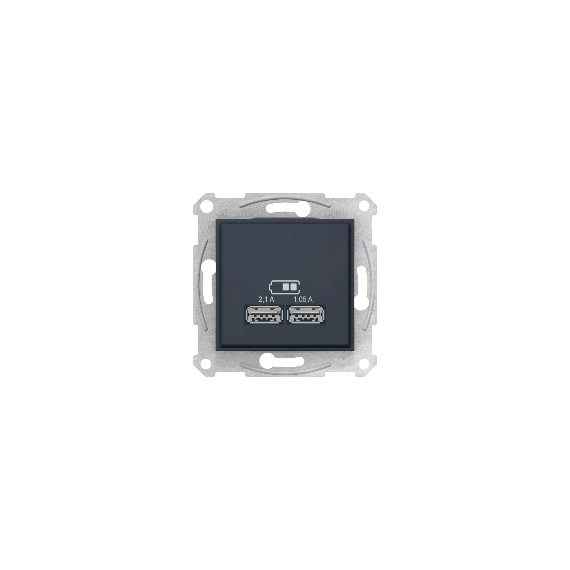 Розетка 2-а з USB виходами для заряджання SDN2710270, колір графіт