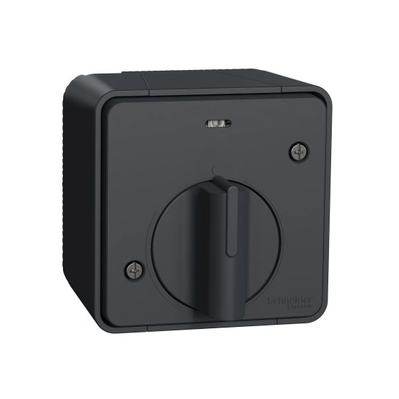 Вимикач із таймером IP55, зовнішній монтаж, чорний, Mureva Styl Schneider Electric MUR35067