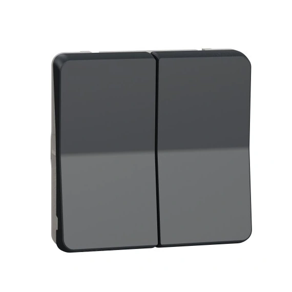 Механизм двухклавишного переключателя IP55, черный, Mureva Styl Schneider Electric MUR35019