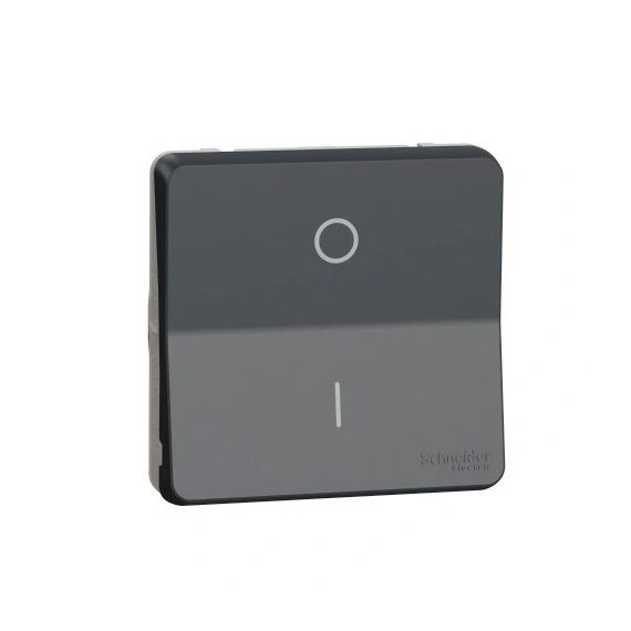 Механізм перемикача двополюсний IP55, чорний, Mureva Styl Schneider Electric MUR35034
