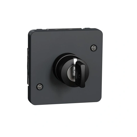 Механизм выключателя с ключом на 3 положения IP55, черный, Mureva Styl Schneider Electric MUR35061