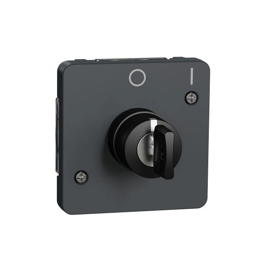 Механізм вимикача з ключем на 2 положення IP55, чорний, Mureva Styl Schneider Electric MUR35062