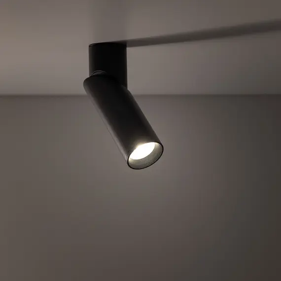 Точковий світильник TK-Lighting ELARIS S 11253, изображение 3