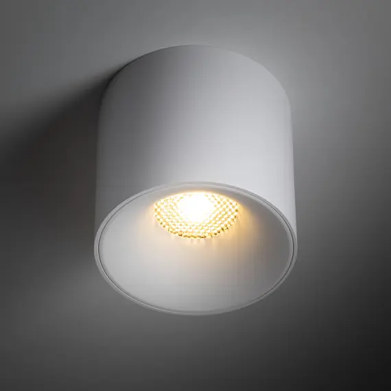Точковий світильник TK-Lighting BLAZE CCT LED 30W 3000-6000K 18161, зображення 2