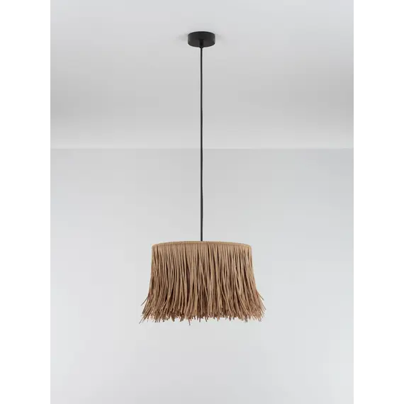 Підвіс Nova Luce DELMA 9071146, изображение 3