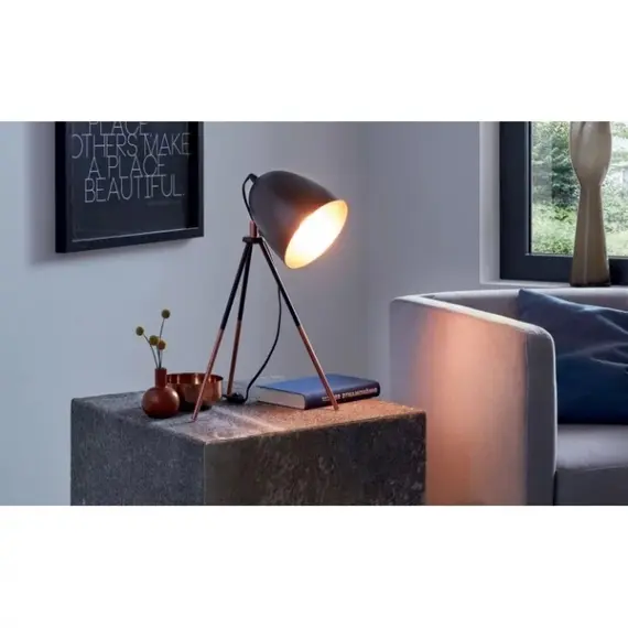 Настольная лампа Eglo 49385 CHESTER, изображение 5