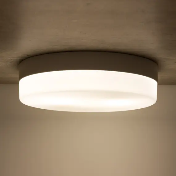 Стельовий світильник TK Lighting PORI 862, зображення 6