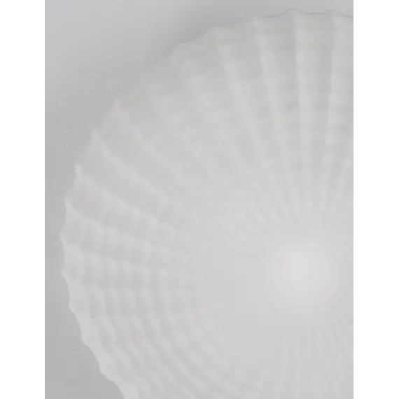 Стельовий світильник CLAM Nova Luce 9738256, зображення 2