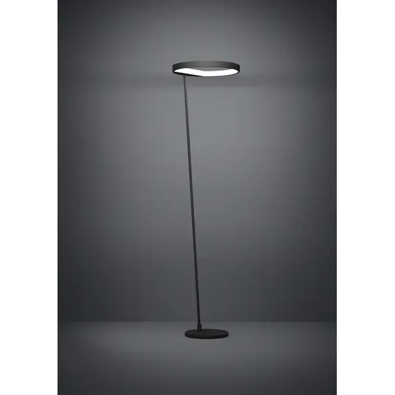 Торшер Eglo CAREDARA LED 390167, изображение 2