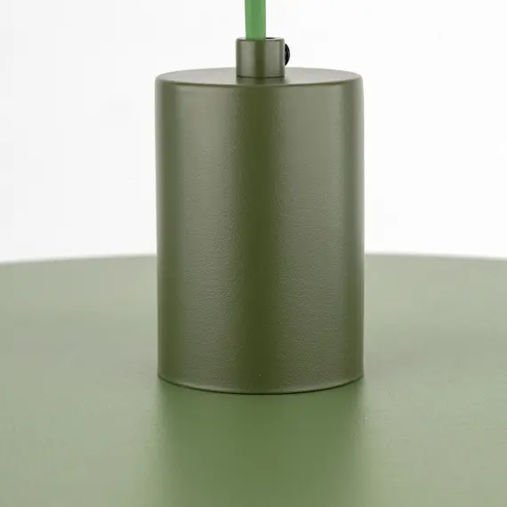 Подвесной светильник TK-Lighting SILA GREEN PEAPOD 400 10762, изображение 5