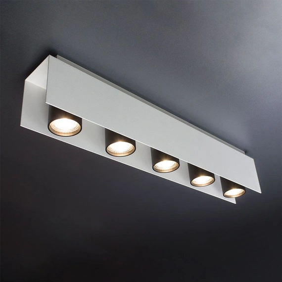 Потолочный светильник ImperiumLight Bonn 316560.01.05