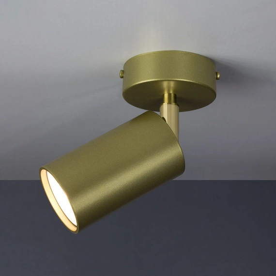 Светильник ImperiumLight 591145.12.12 ACCENT