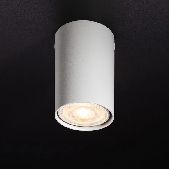 Накладной точечный светильник ImperiumLight Accent 70110.01.01 белый