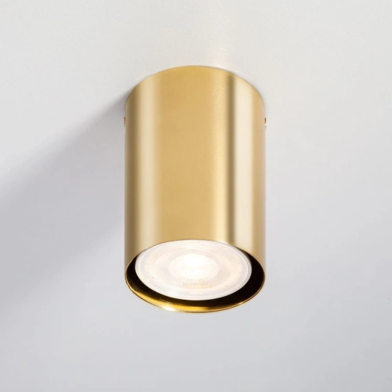 Накладной точечный светильник ImperiumLight Accent 25095.65.65