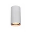 Точковий світильник Italux CLN-83920-S-ALU Rilok GU10 1x10W IP20 Wh