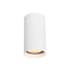 Точковий світильник Italux CLN-83920-S-WH Rilok GU10 1x10W IP20 Wh
