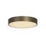 Стельовий світильник Searchlight PALMA 85431BZ