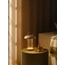 Настільна лампа Nordlux 2512505057 MIRANO, изображение 2