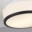Потолочный светильник Searchlight CHEESE 7039-23BK, изображение 3