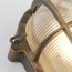 Searchlight BULKHEAD 61402BG, изображение 3