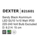 Спот DEXTER Nova Luce 821601, изображение 3
