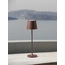 Настільна лампа SEINA Nova Luce 9223403, зображення 2