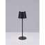Настольная лампа SEINA Nova Luce 9223406, изображение 4