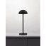 Настольная лампа ROSE Nova Luce 9281381, изображение 2