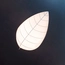 Стельовий світильник Imperium Light 72558.01.01 Leaf