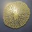 Бра ImperiumLight Dandelion 416110.12.12, изображение 4